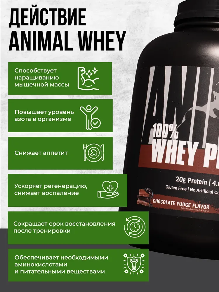 Universal Animal 100% Whey Protein 1.8 kg 2