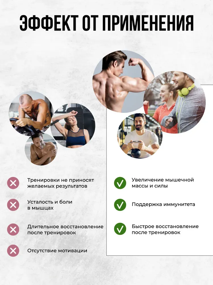 Universal Animal 100% Whey Protein 1.8 kg 4