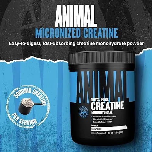 Universal Animal creatine monohydrate 300 gr  2