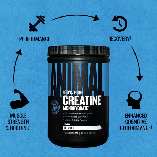 Animal 100% Pure Creatine, креатин моногидрат, 300 г ≈60 порций 1