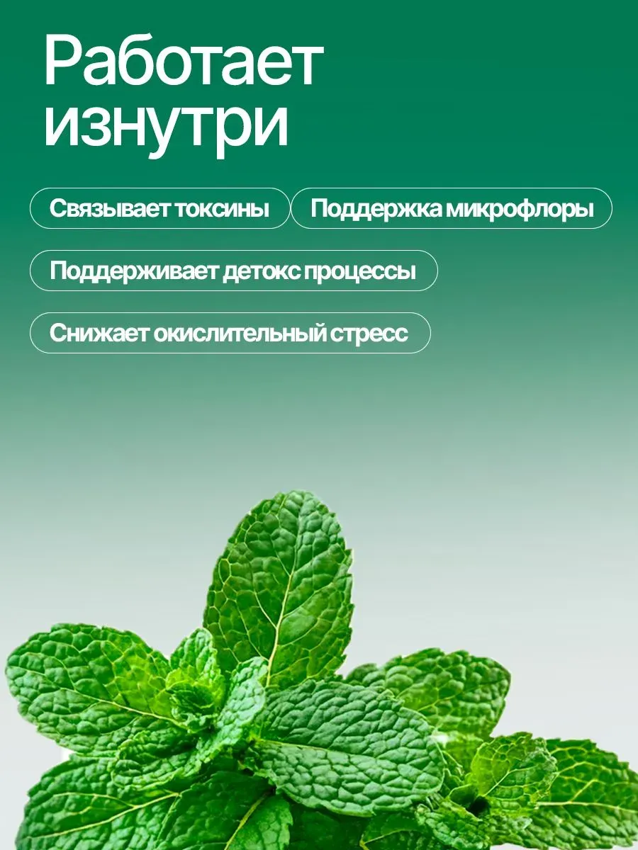 Nature's Way Жидкий хлорофилл Chlorofresh, с ароматом мяты, 480 мл. 5